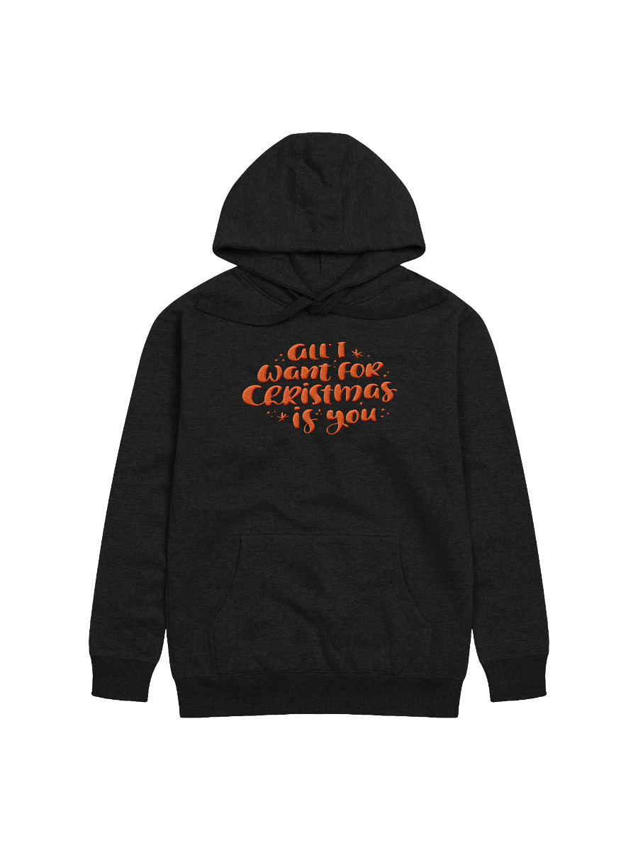Festive Holiday Wishes Embroidered Unisex Premium Hoodie product image (1)