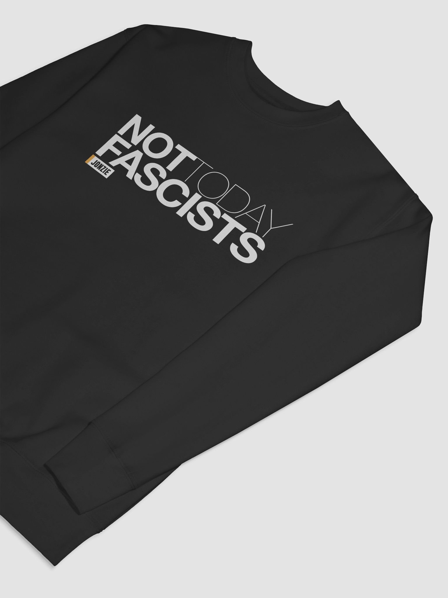Not Today Fascist Sweat product image (7)
