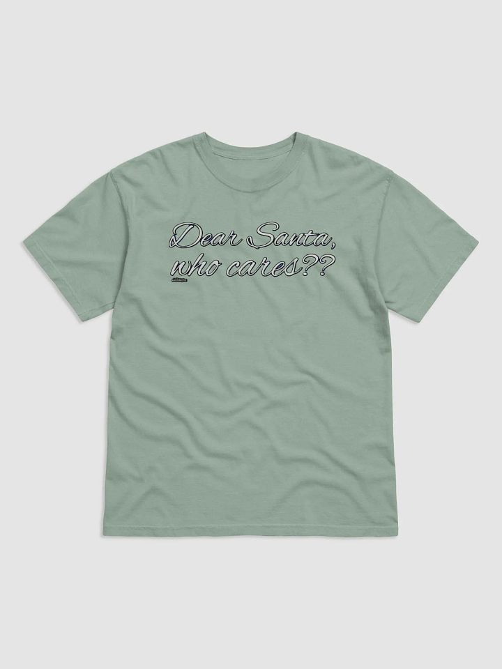DEAR SANTA, WHO CARES?? product image (1)
