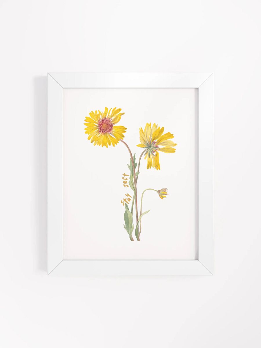 Stay Soft | Yellow Flower Botanical Wall Art product image (101)