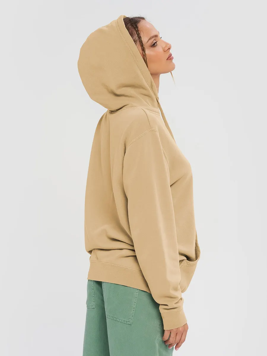 REIGNITE THE FIRE HOODIE UNISEX product image (30)