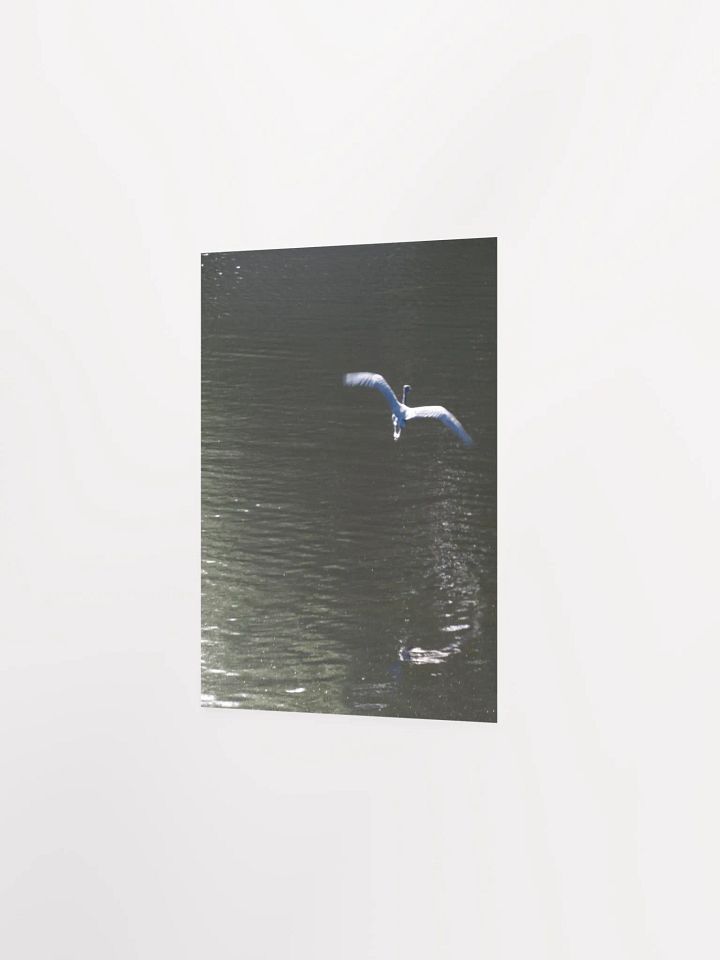 Flying Heron product image (18)