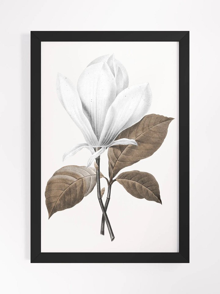 Magnolia Grandiflora #1 Framed Print product image (1)