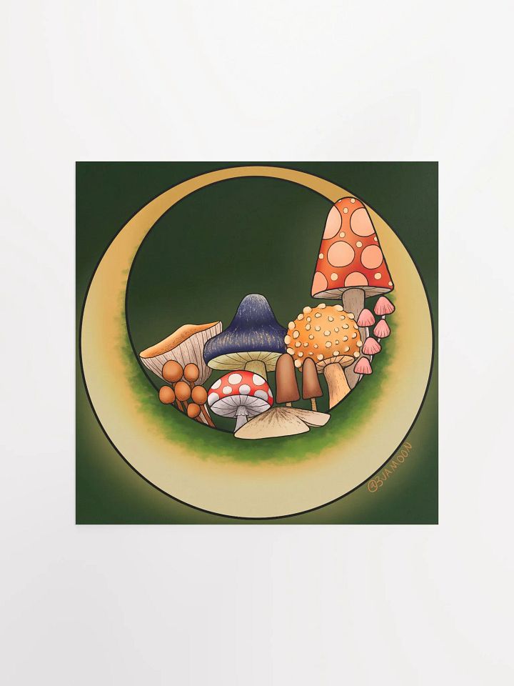 Moonie Shrooms Poster Print product image (1)