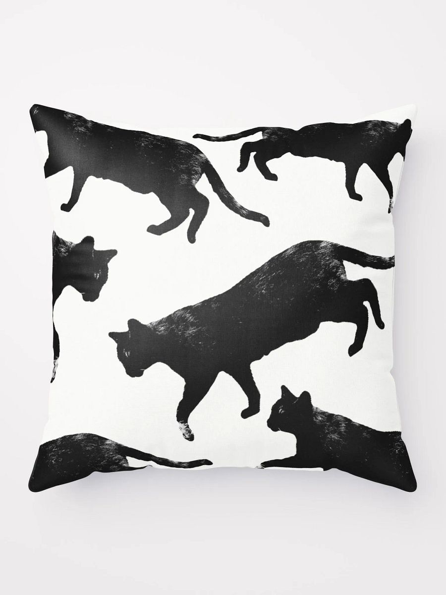 Stray Cat Pillow Cover product image (1)