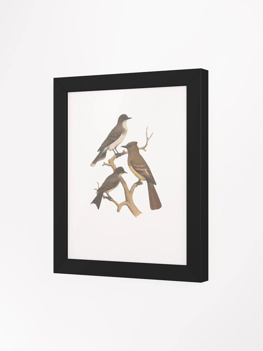 Birds in Winter product image (30)