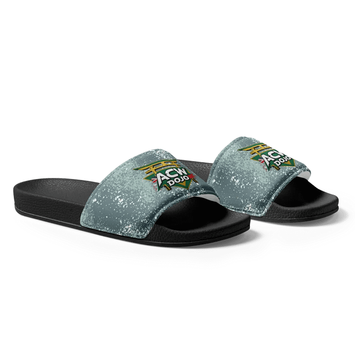 ACW Dojo Slides product image (1)
