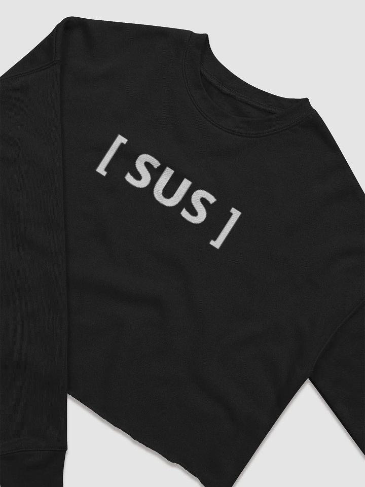 SUS CROP TOP product image (2)