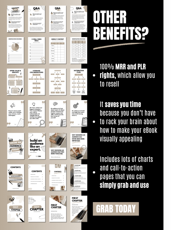 MRR/PLR Business eBook Template in Canva product image (4)