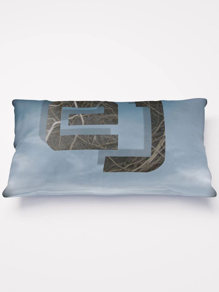 Decorative EJ Pillow product image (1)