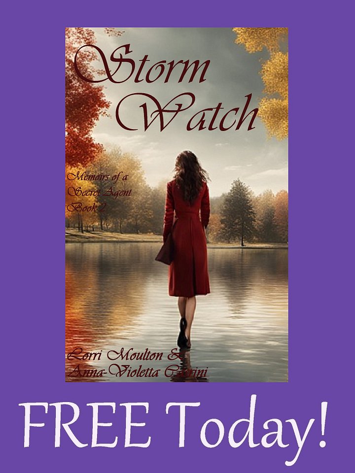 Storm Watch: Memoirs of a Secret Agent Book 2 EBOOK - FREE TODAY! product image (1)