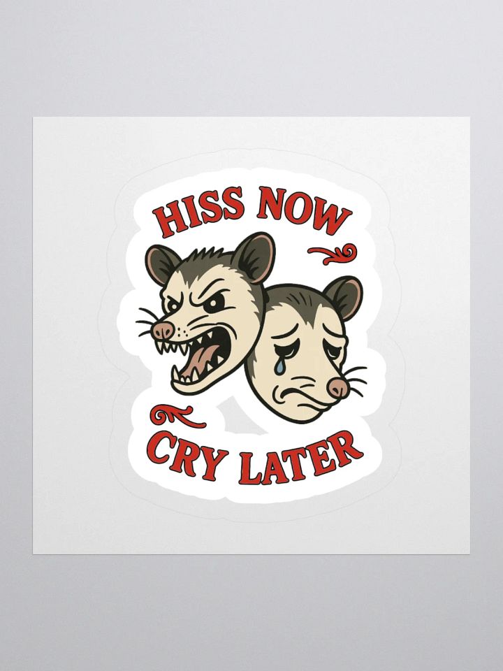 Hiss Now Cry Later Sticker product image (1)