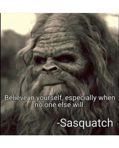 Words of wisdom. I do believe. #sasquatch #hideandseekchampion #getlost