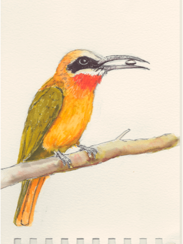 Hardcover bound notebook for the bird lovers in your life product image (2)