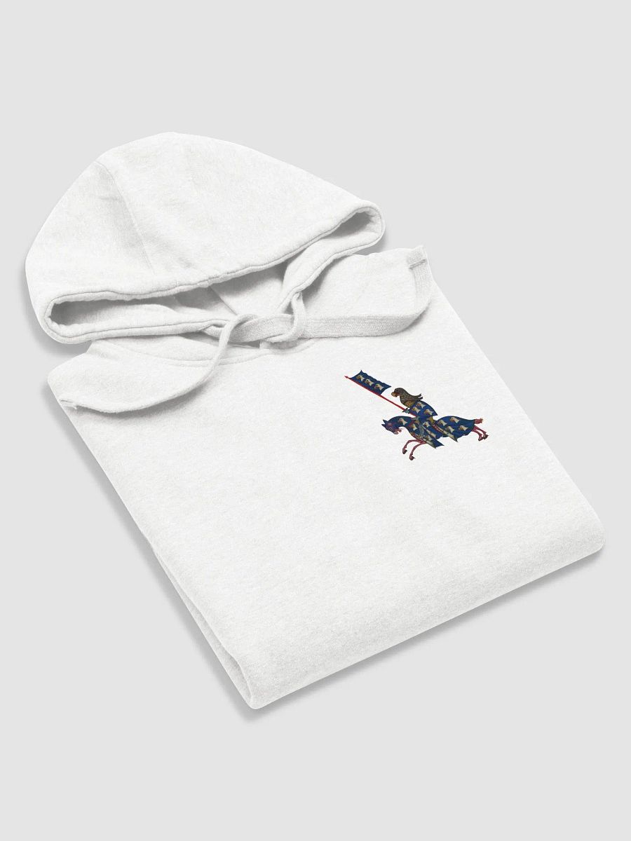 Marginalia Blue Knight Hoodie product image (5)