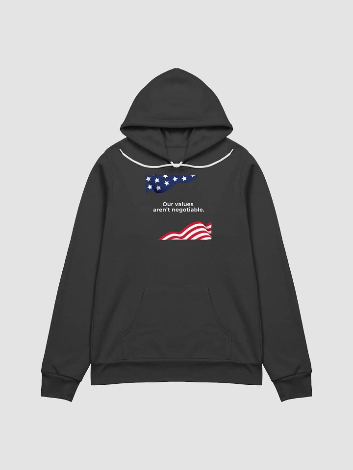 Values – The Democracy Collection – Hoodie product image (2)