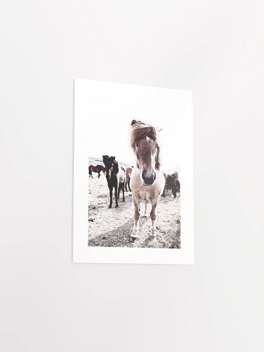Iceland Horses Passepartout Print product image (27)