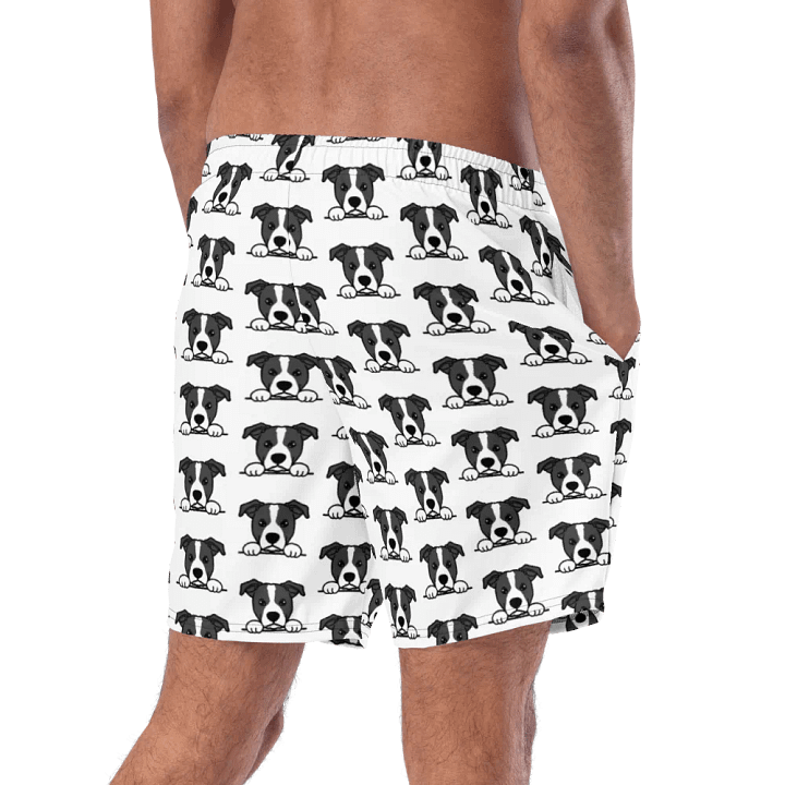 HOPPER SWIMSHORTS product image (2)