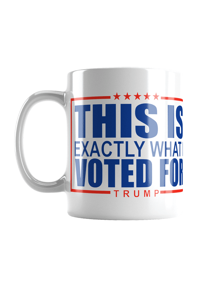 This Is What I Voted For Mug product image (2)