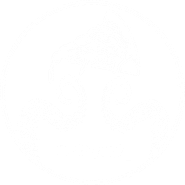 TheYed_