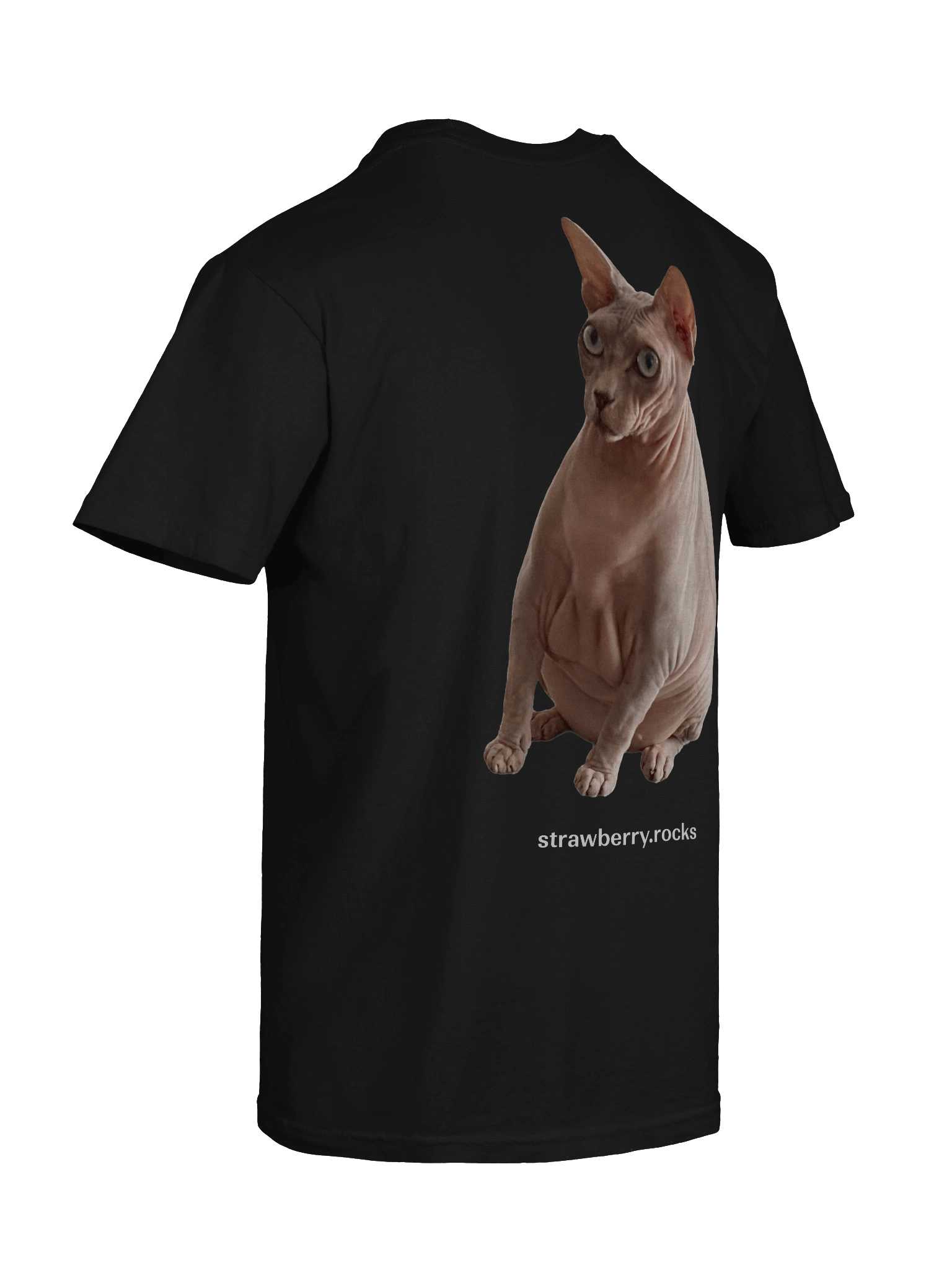 Thiago's cat judging your code product image (10)