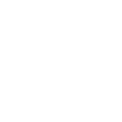 New Things Clothing