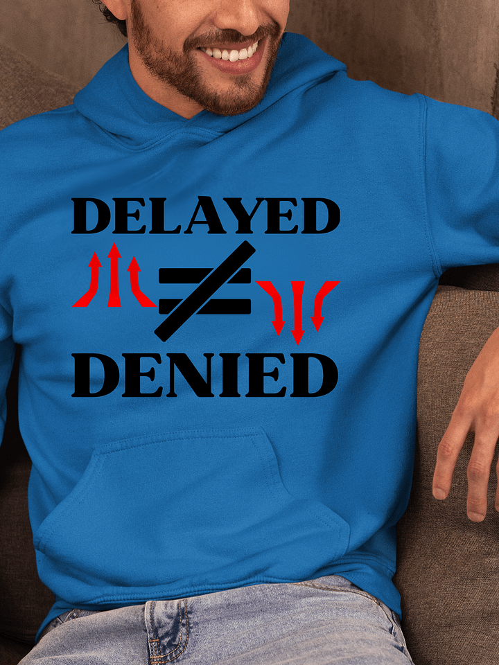 Delayed Not Denied Gildan Hoodie product image (1)