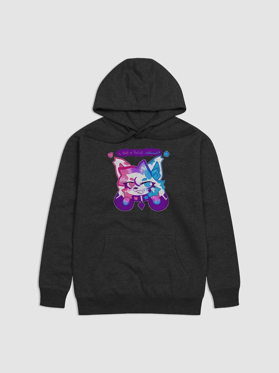 is that a factual statement? hoodie product image (8)