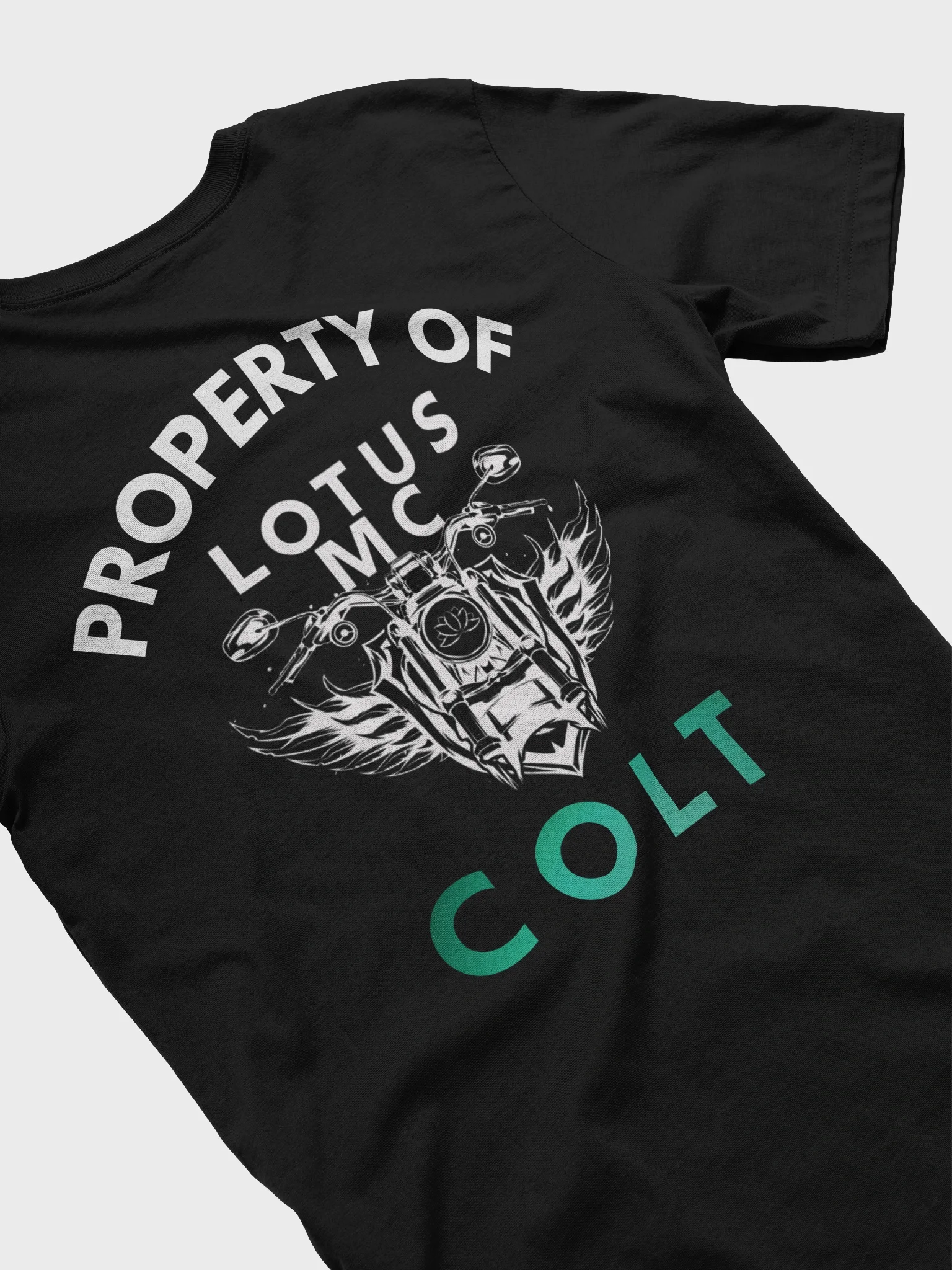 Property of Colt T product image (34)