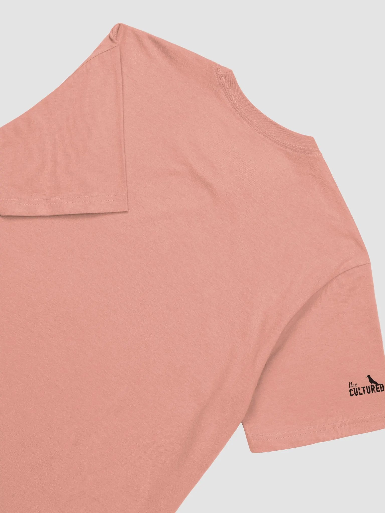 I'm POE but I'm PROUD Next Level Supersoft Tee product image (4)
