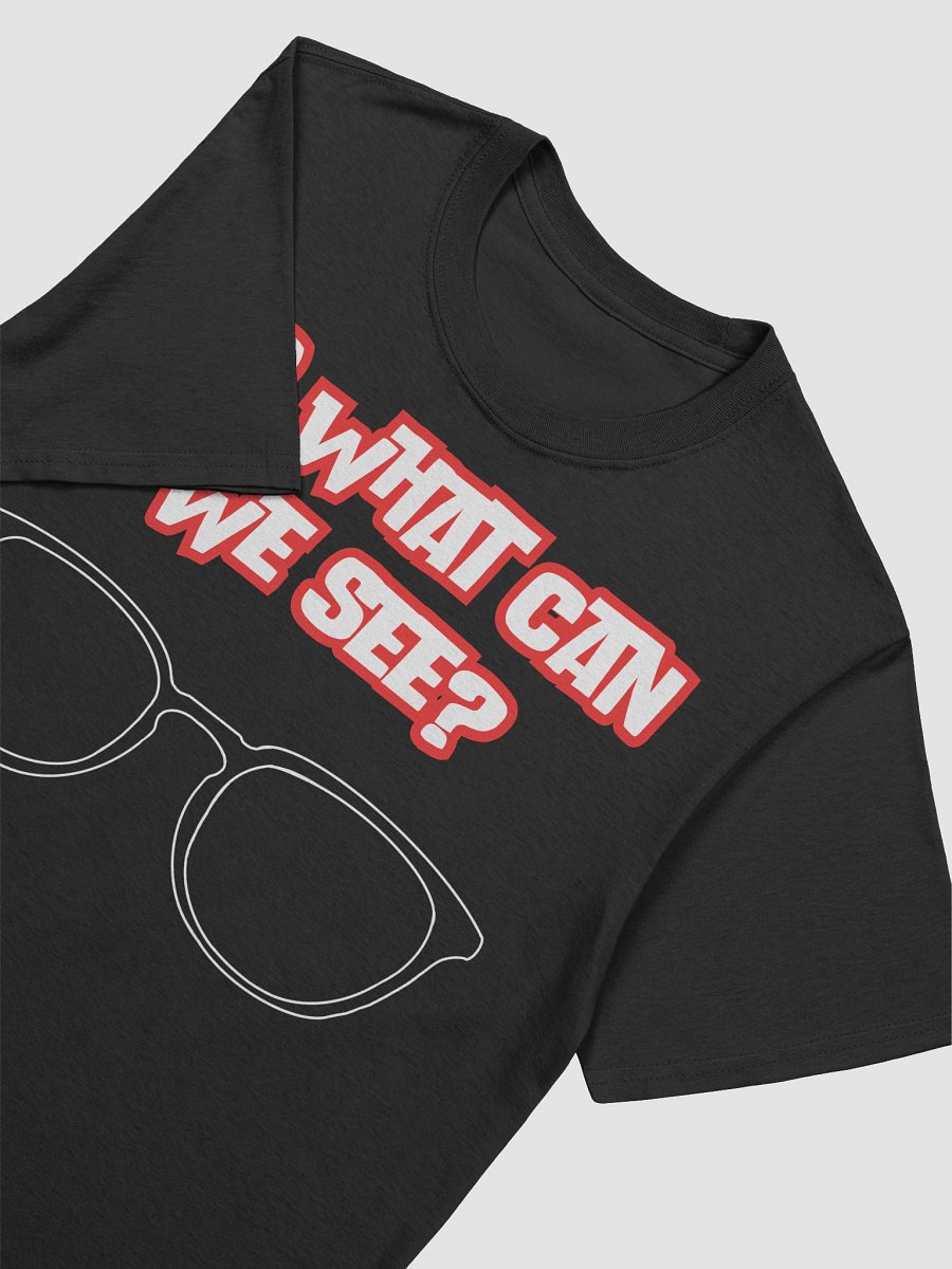 "So What Can We See?" T-Shirt product image (99)