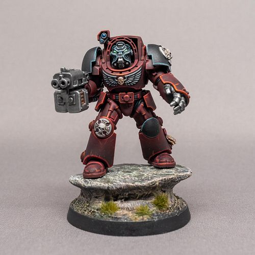 My first attempt trying to paint like the box art, a Flesh Tearer Terminator. Pretty happy with the result, but lots of room ...