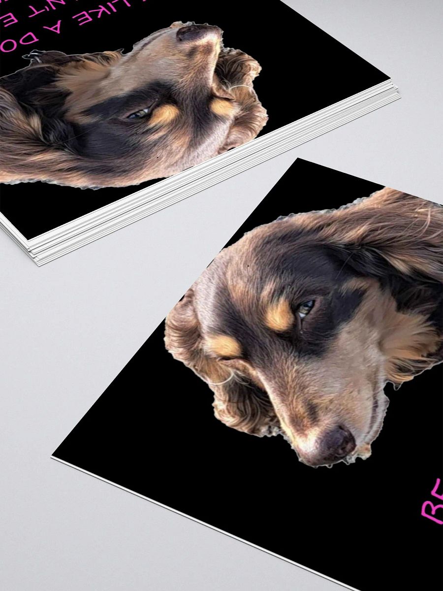 BE LIKE A DOG SIDE EYE product image (16)