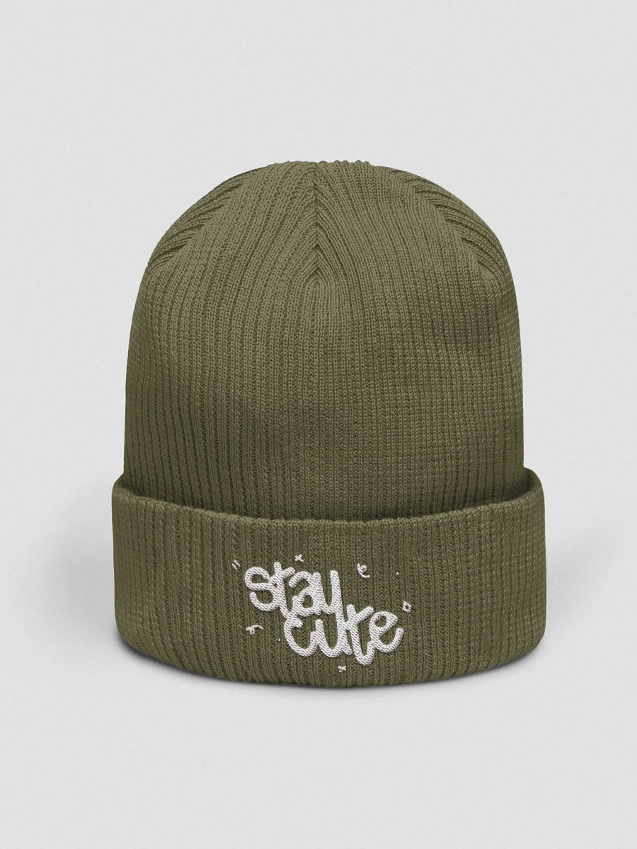 ˗ˏˋ ꒰ stay cute beechfield ribbed beanie ꒱ ˎˊ˗ product image (1)