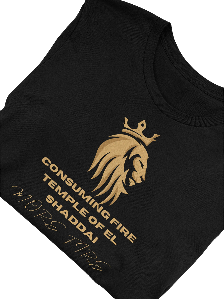 Consuming Fire Lion Logo T Shirt product image (5)