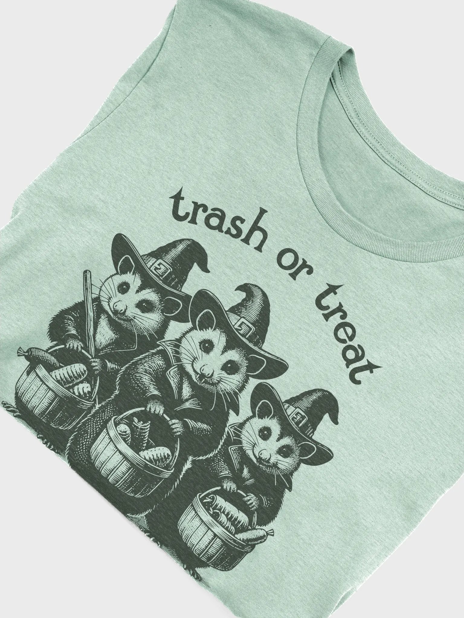 Trash or Treat Possum Unisex T-Shirt product image (4)