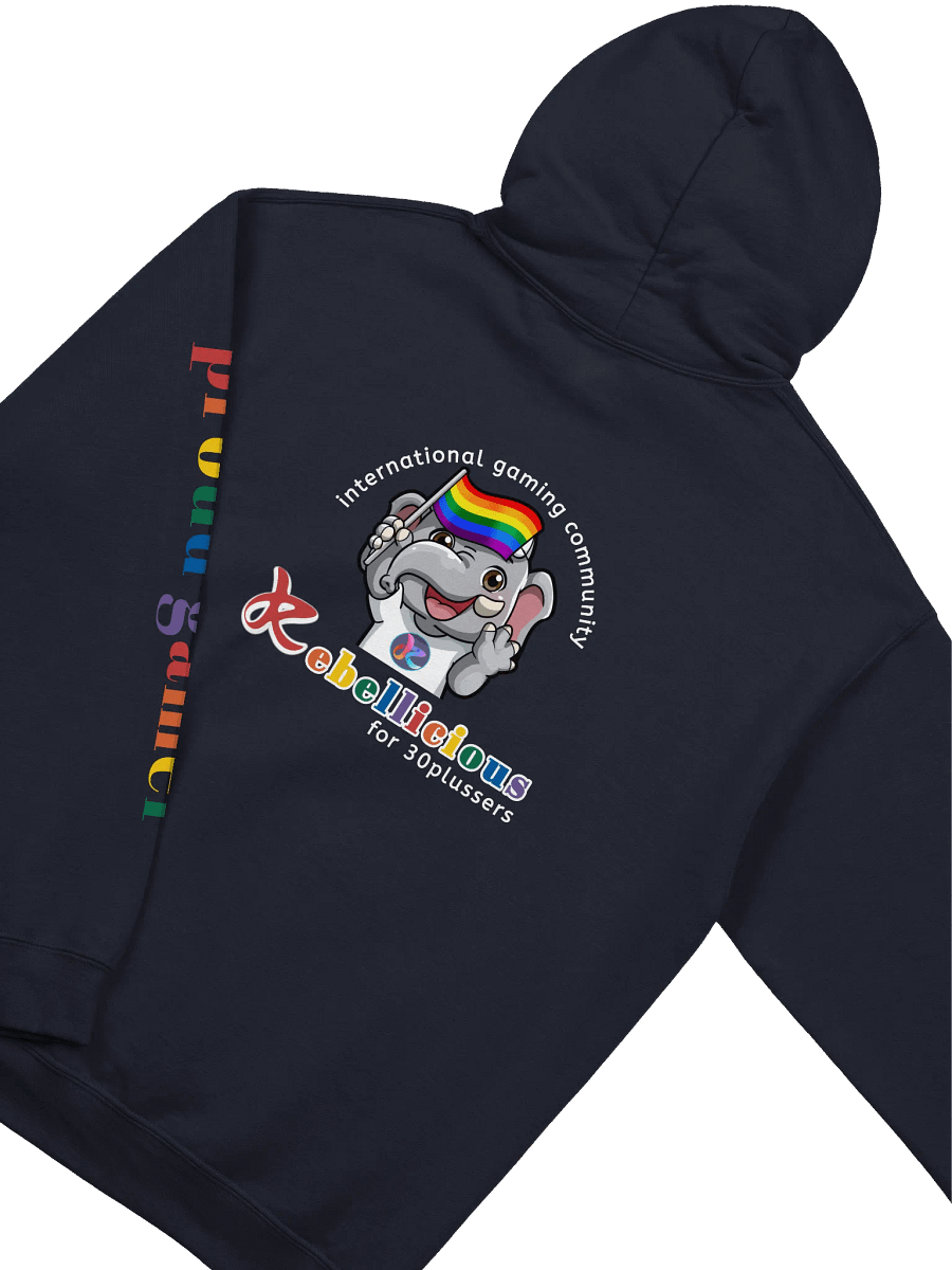 Rainbow Gamer Pride Hoodie product image (5)
