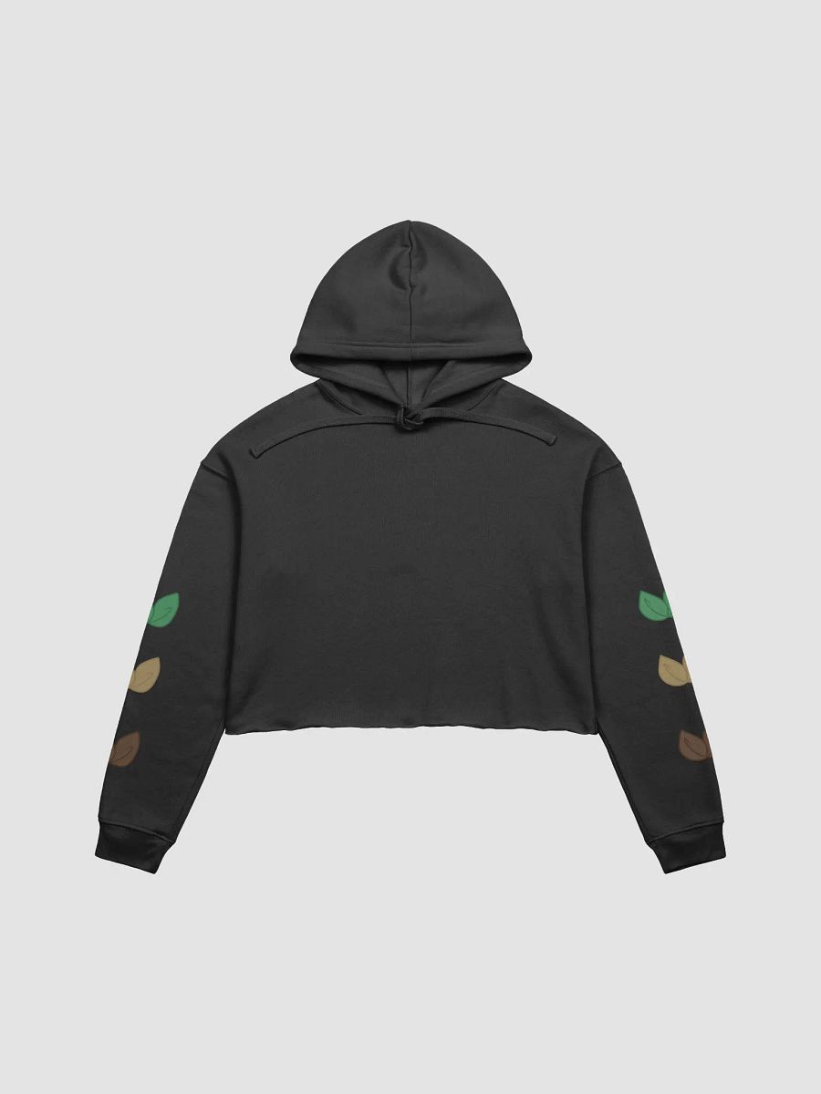 Leaf gradient cropped hoodie product image (3)