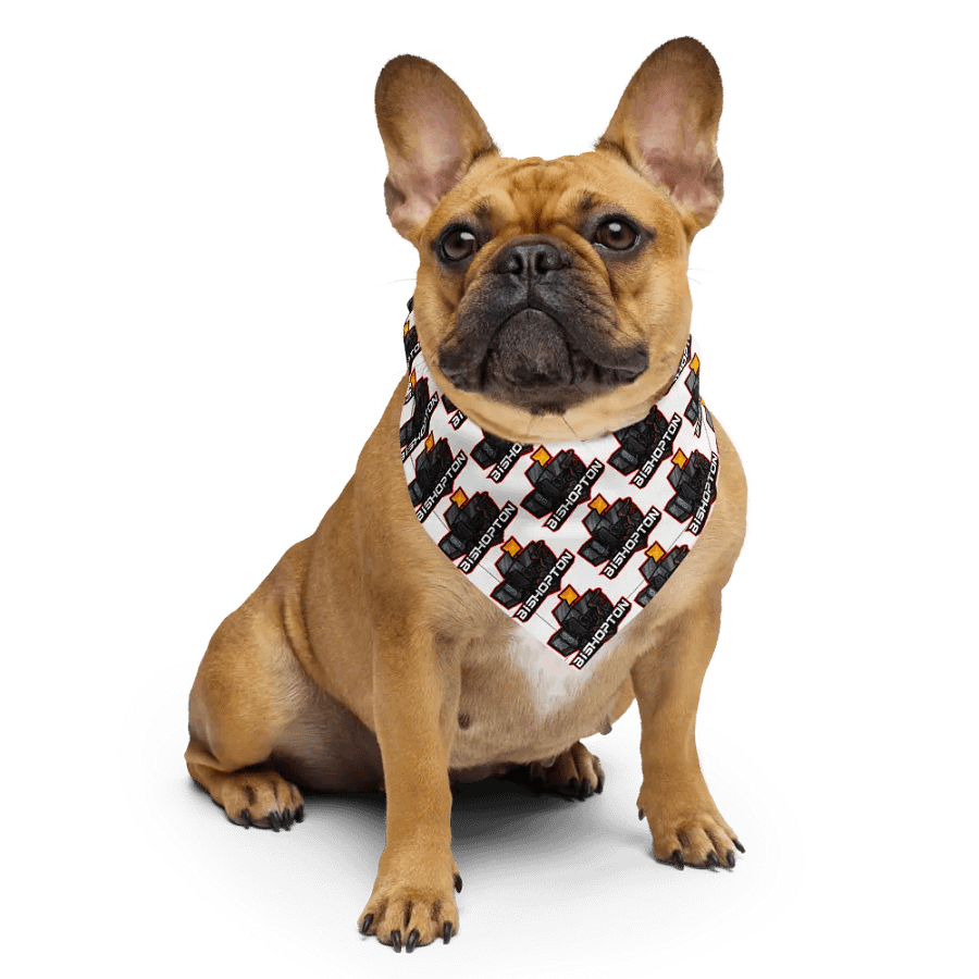 Logo Bandana product image (6)