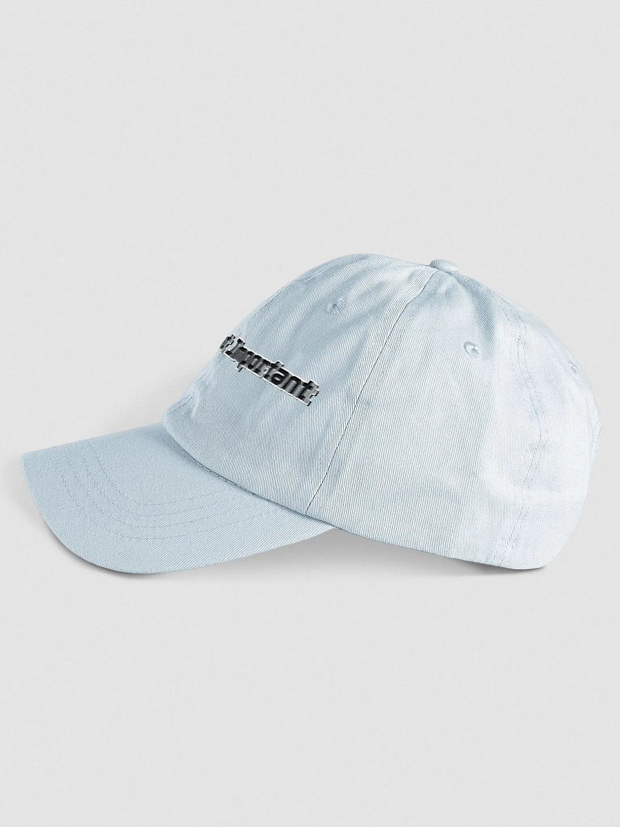 Pastel Dad Hat - Embroidered - Mr I'm Not Important product image (3)