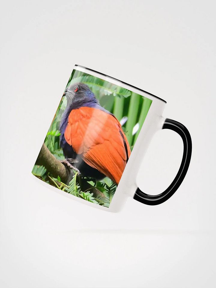 IUCAA Birds MUG product image (17)