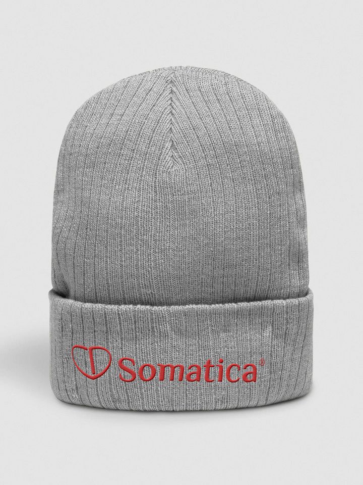 Somatica beanie product image (1)