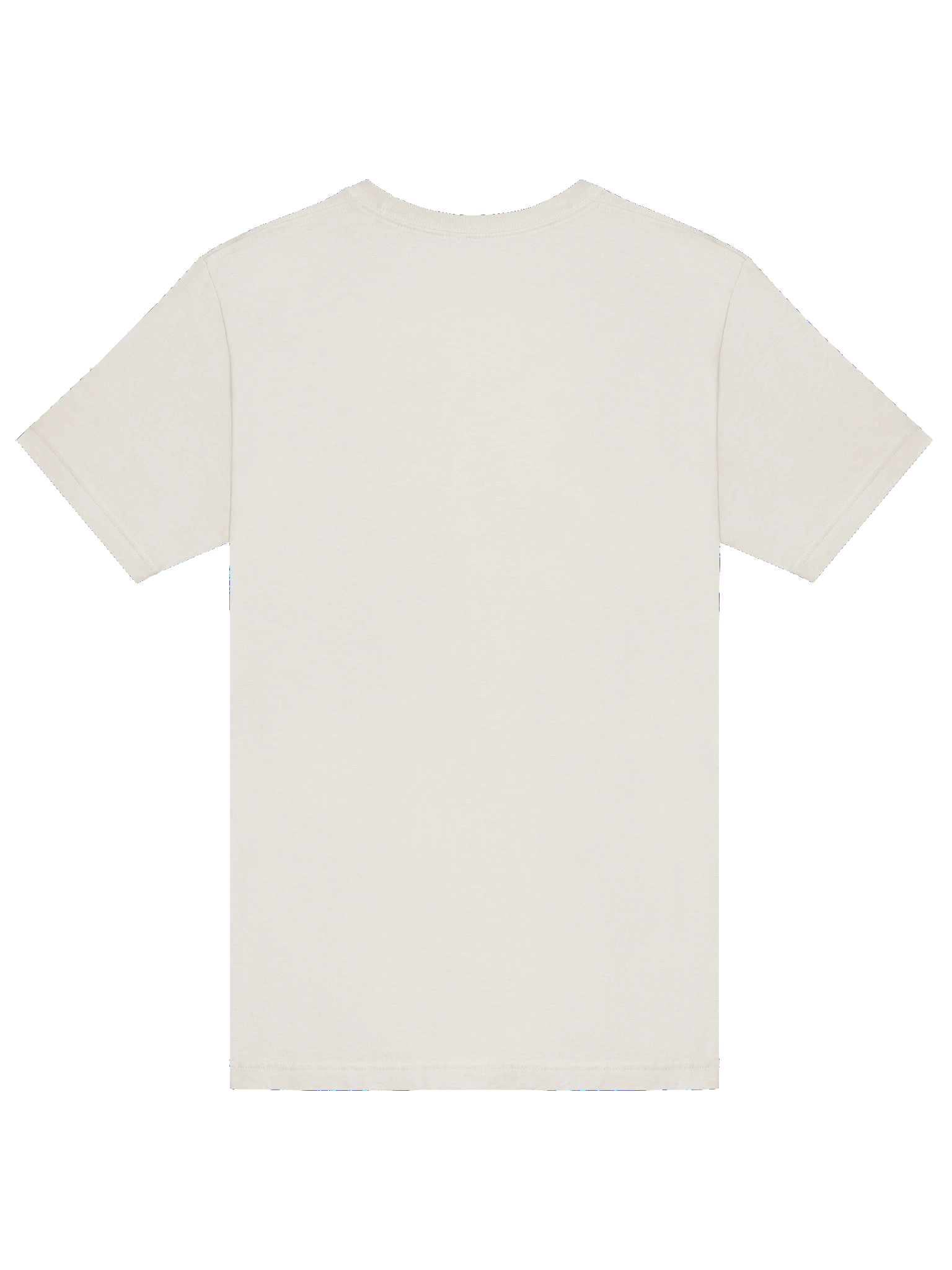 This Is Not An Ensō Graphic Tee (Dark on Light) product image (6)