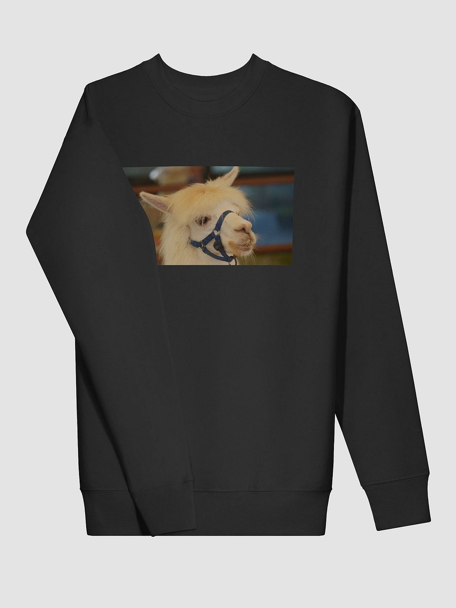 Llama Love Premium Sweatshirt product image (3)