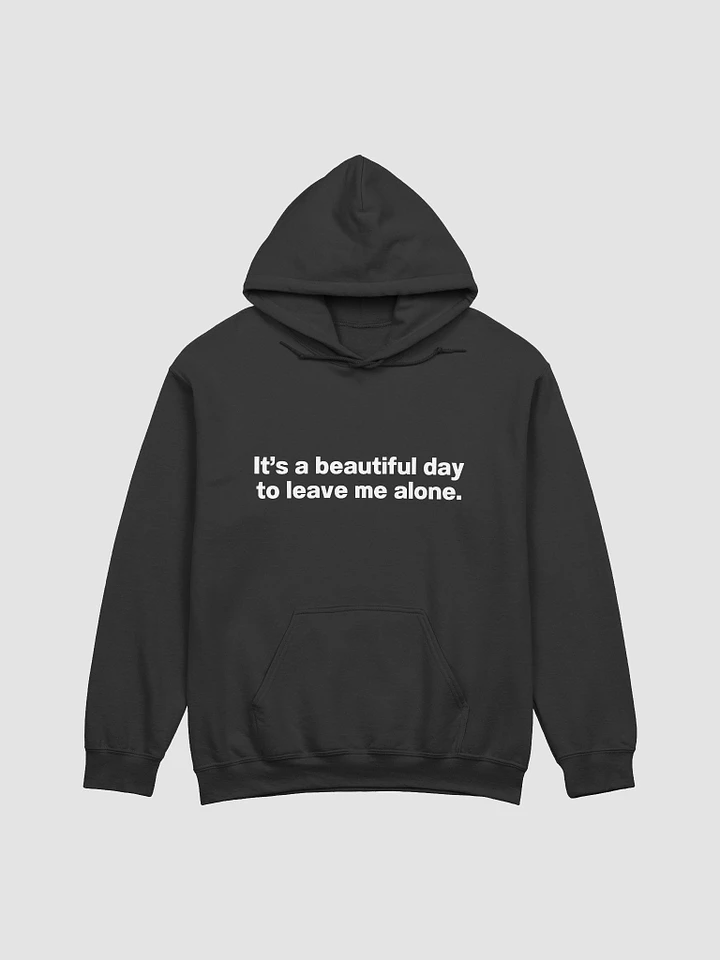 It's a beautiful day to leave me alone. Hoodie product image (11)