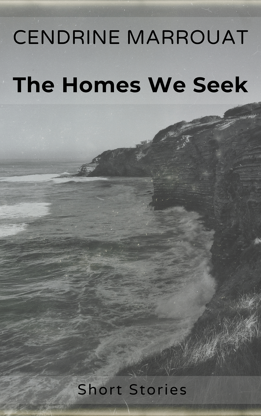 The Homes We Seek product image (1)
