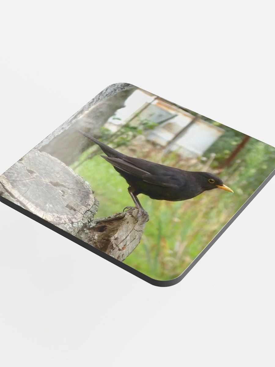 Glossed Cork Coaster - The common blackbird product image (4)