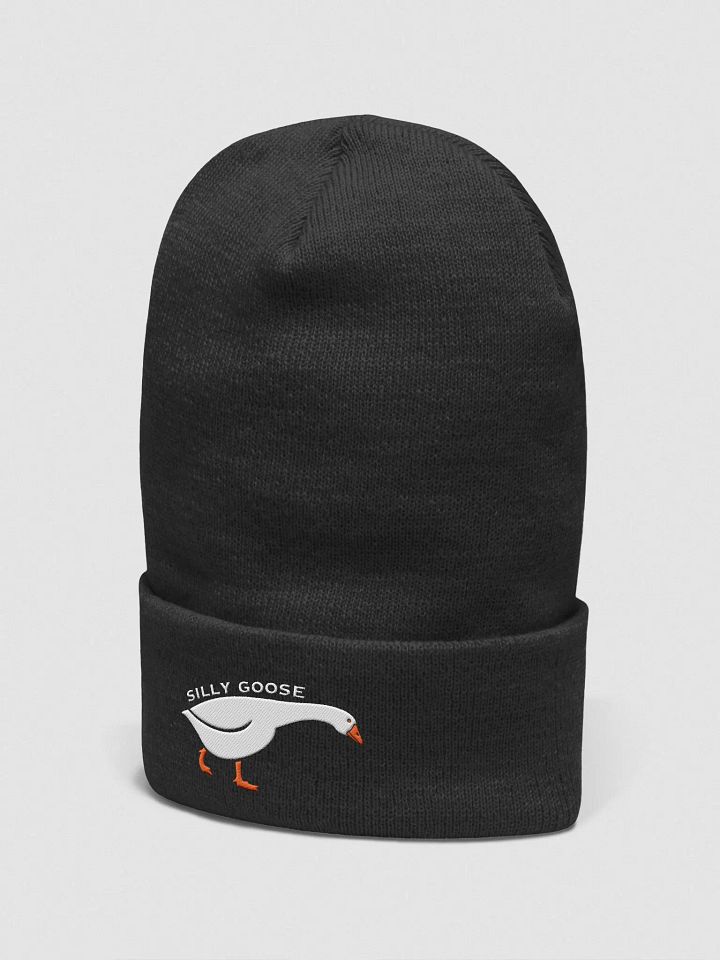 Silly Goose product image (5)
