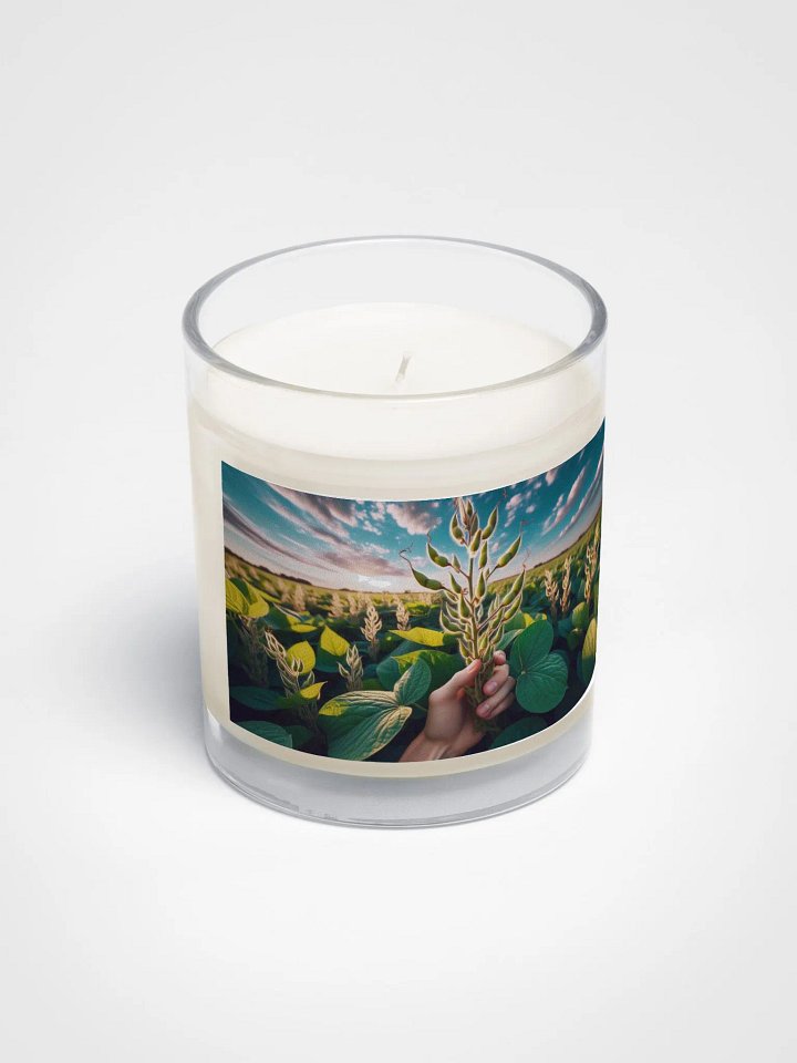 Soybean Serenity Candle product image (2)