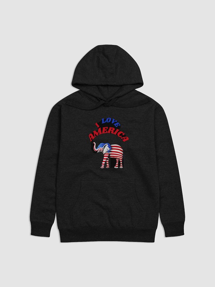 Block Unisex Hoodie Patriotic Color product image (2)